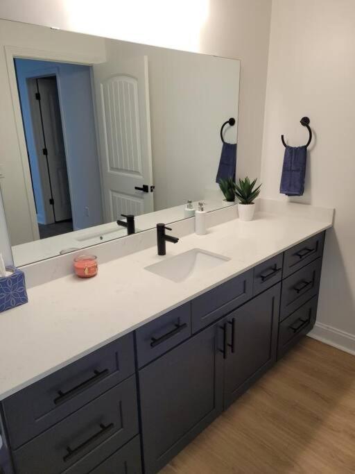 South Charlotte'S Cozy & Modern Daire Dış mekan fotoğraf
