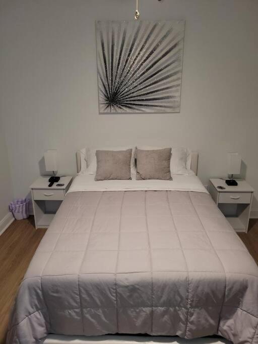 South Charlotte'S Cozy & Modern Daire Dış mekan fotoğraf